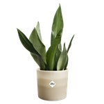 colour gradient rund 18cm sandsteinbeige